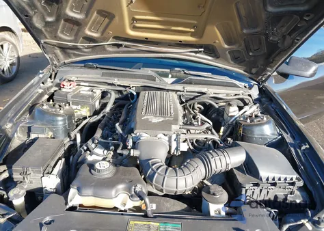 2009 Ford Mustang Gt/Gt Premium z USA, uszkodzony, nr VIN 1ZVHT82H295132864